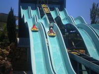 Zoomarine1_June_2012.jpg