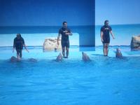 Zoomarine2_June_2012.jpg